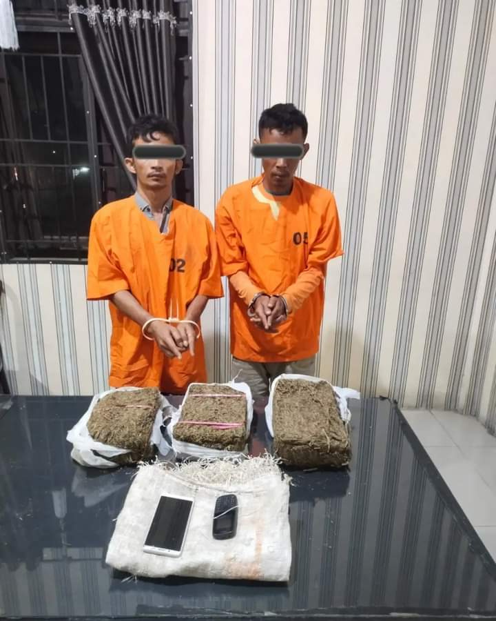 Satres Narkoba Polres Karo Tangkap 2 Pria Bawa Narkotika Jenis Ganja seberat 2800 Gram Di Lau Pengulu