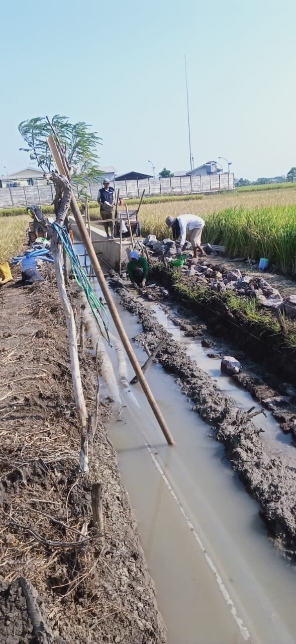 *Pembangunan jaringan pemeliharaan irigasi di desa mundu Rusak parah*