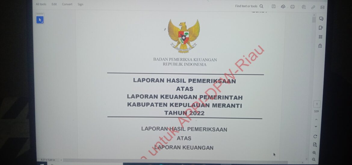 DPW A-PPI Riau Soroti Realisasi Pajak Di Kabupaten Kepulauan Meranti Atas Temuan BPK RI